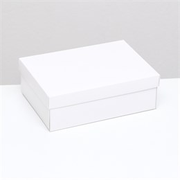 Коробка картонная без окна, белый, 21 х 15 х 5 см