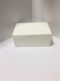 Коробка Белая 20х14х8 см