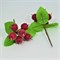 Пучок яблок сахарных 6 ягод красный с тёмными листиками - фото 1224741