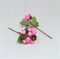 Пучок ягод с шишкой на проволоке розовый - фото 1224743