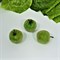 Яблоко сахарное 3х3см пенопласт тёмно-зеленое - фото 1224750